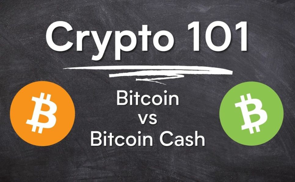 Crypto 101: Bitcoin vs Bitcoin Cash