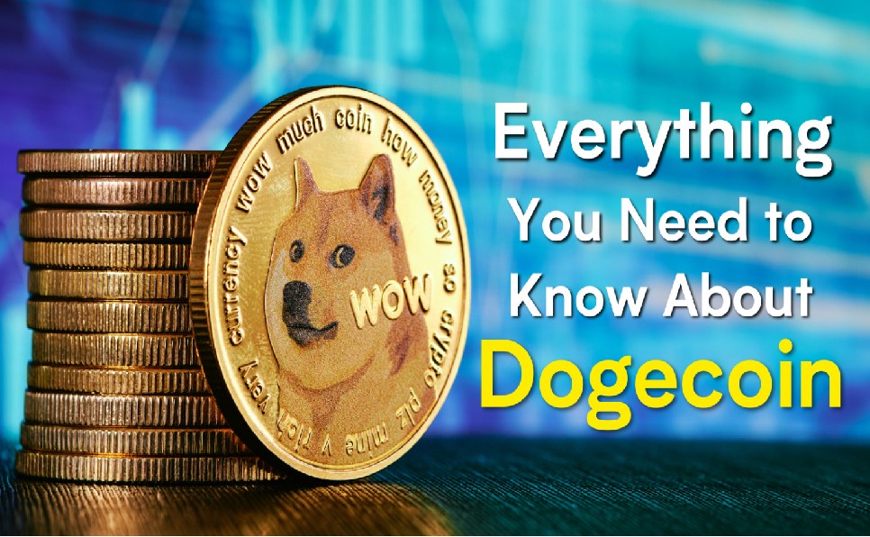 Everything You Need to Know About Dogecoin