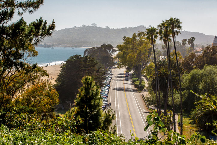 California image of roadway and palm trees