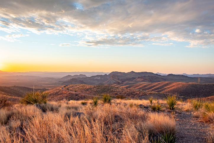 Texas landscape